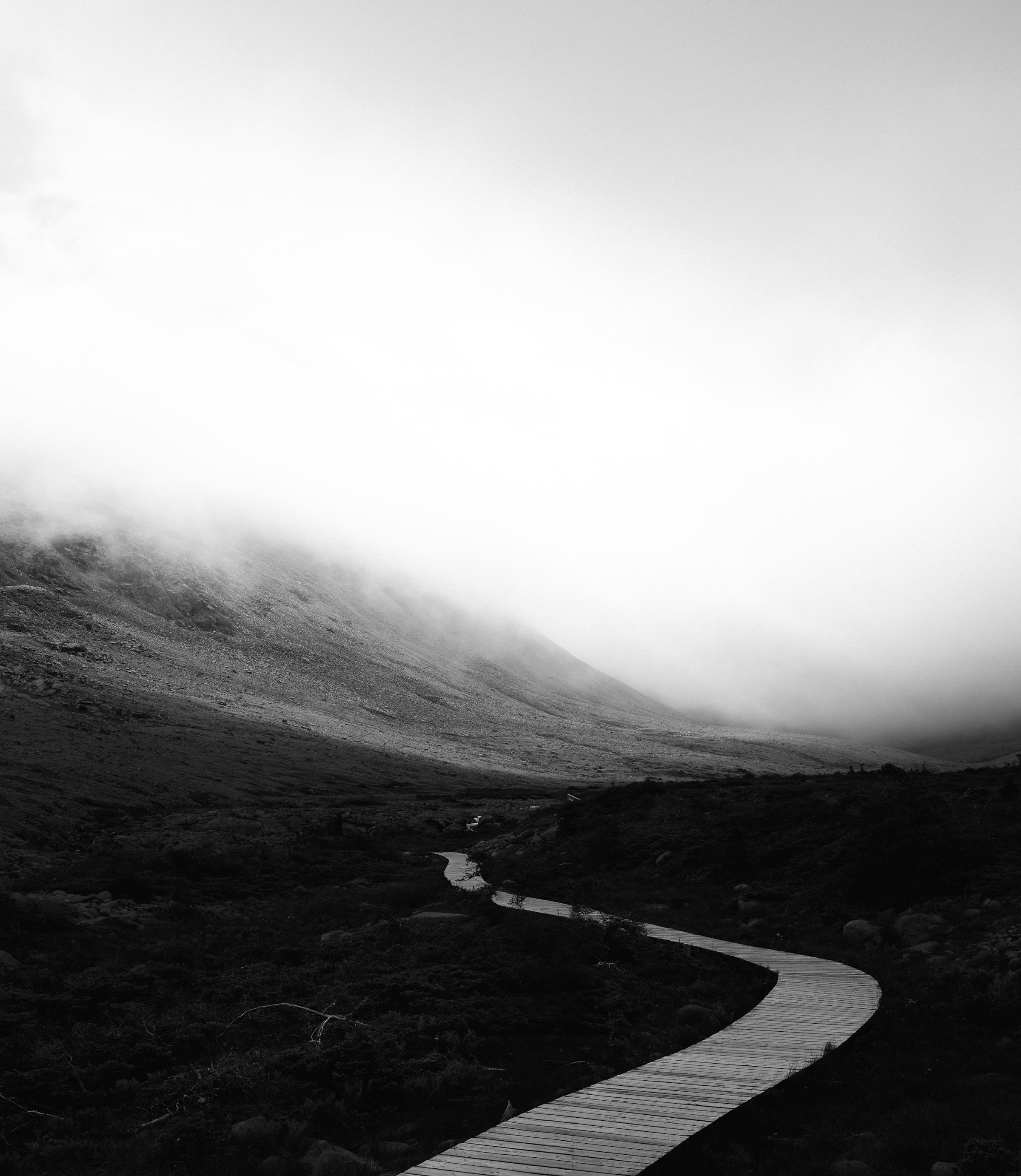 A winding path through layered terrain, suggesting the route from a tangled org to a clear one